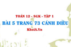 Bài 5 trang 73 Toán 12 tập 1 Cánh Diều